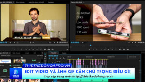 edit-video-va-anh-gif-can-chu-trong-dieu-gi-dich-vu-edit-video-tai-tphcm