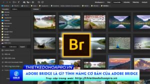 adobe-bridge-la-gi-tinh-nang-co-ban-cua-adobe-bridge