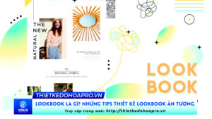 lookbook-la-gi-nhung-tips-cho-ban-mot-bo-lookbook-an-tuong