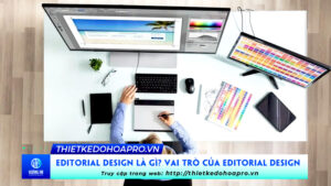 editorial-design-la-gi-vai-tro-cua-editorial-design